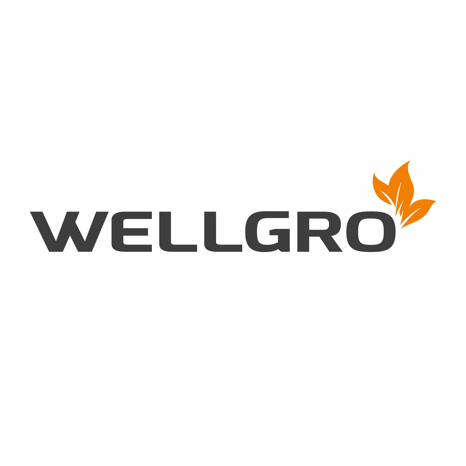 Wellgro uchwyt na opony ścienne, 4 sztuki, w zestawie metalowe śruby i kołki, uchwyt z gumową powłoką, uchwyt na felgi, uchwyt ścienny, ok. 27 x 9 x 5 cm – kolor do wyboru.